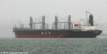 ID 10049 AFRICAN PELICAN (2015/21532grt/34365dwt/IMO 9692789) - commissioned on 27 January this year, arriving in misty rain in Auckland from Melbourne for her maiden call. She is owned and managed by MUR...
