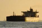 ID 9638 Dubai Princess