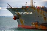 ID 11495 Edzard Sculte
