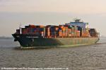 ID 7364 MSC Navarino