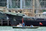 ID 11152 Tenacious