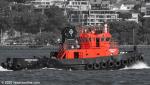 ID 12100 CHRISTINE MARY (1998/122grt/IMO 9192301, ex-QS MAPLE) - one of Thomson Towboats' fleet of red and black tugs based in Auckland.