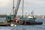 ID 12372 RAWHITI (ex-REVENGE) - a 12.89m steel workboat operated by Total Marine of Auckland. Built in the 1960's in Whangarei, NZ, she is seen here during mooring works near the Devonport foreshore, Auckland.
