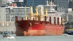 ID 13893 Uni Bulker